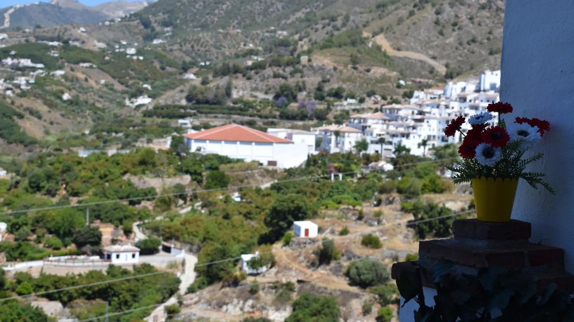 Olivo 15E Διαμέρισμα Frigiliana Ισπανία